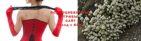 мескалин Аркадак