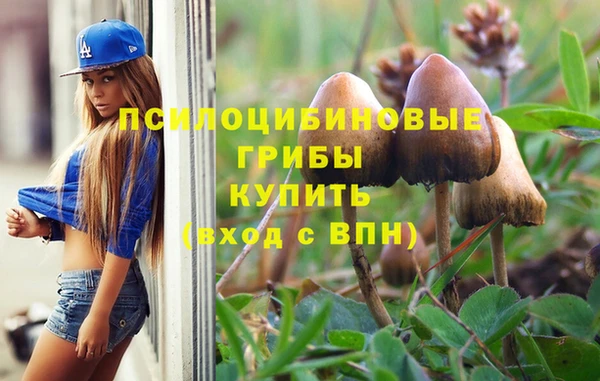 эйфоретик Арсеньев