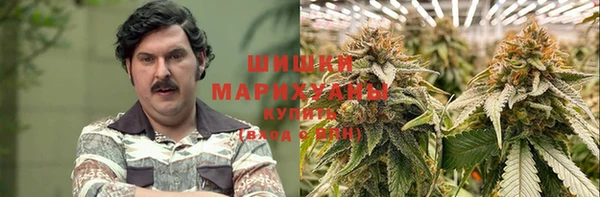 эйфоретик Арсеньев